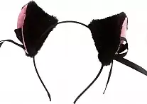 ���� � ���������� � ����������� �� ������ ������ "Cat Collection"