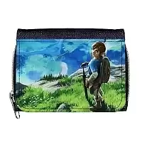   The Legend of Zelda: Breath of the Wild - Link