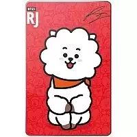 ������ ��������� ������������� BT21 - RJ