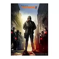   "The Division 2:  -"    