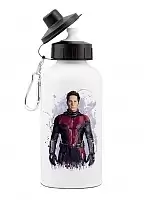     "Ant Man" Scott Lang