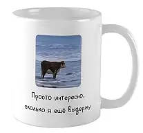 ������ ��� / ������� � ��� �������?