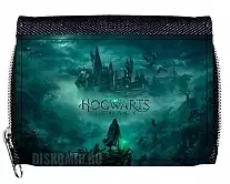   Hogwarts Legacy