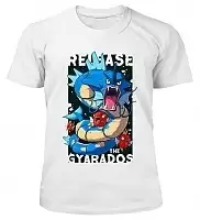  Pokemon - Release the Gyarados