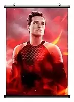 ������� �������� The Hunger Games 346653