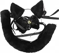   "" (  , , ) 