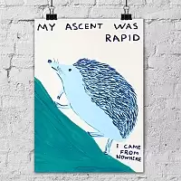    My Ascent was Rapid /   