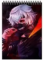    A5  
