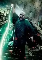  Harry Potter  4