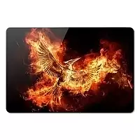    The Hunger Games 351914