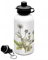 ���������� ������� ��� ���� Tonari no Totoro Summer