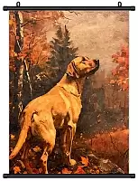 ������� �������� ��������-�������� / ������