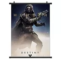   Destiny Hunter