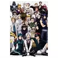  D.Gray-man ( A3, 252 ) 66999