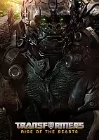   :   /  