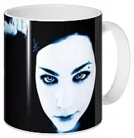 ������ Evanescence / ������������ � ����������� ������