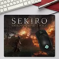     Sekiro: Shadows Die Twice Fire Fight
