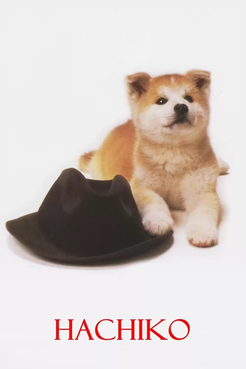 ���������� ������� ������� ������ / Hachi-ko �� ����� � ����� 