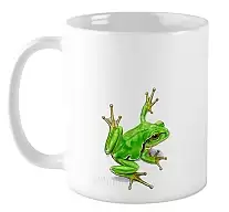 ������ ������� �������