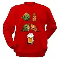  Beer Fusion
