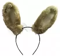        ( )