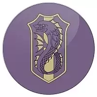      - Purple Orcas Squad