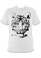  Tiger 48529