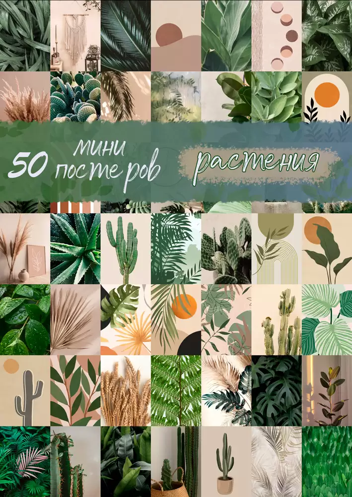 50 ���� �������� - ��������
