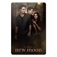    Twilight 351887
