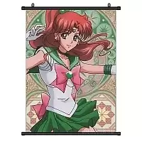   Sailor Moon Sailor Jupiter