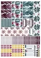 ������� ��� �������� ����������� No.16 ����� �������