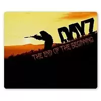     DayZ The End of the beginning