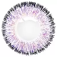    Maxiy Girl Angel Purple #45