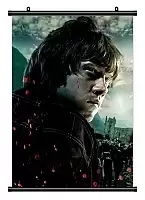 ������� �������� Harry Potter 346707