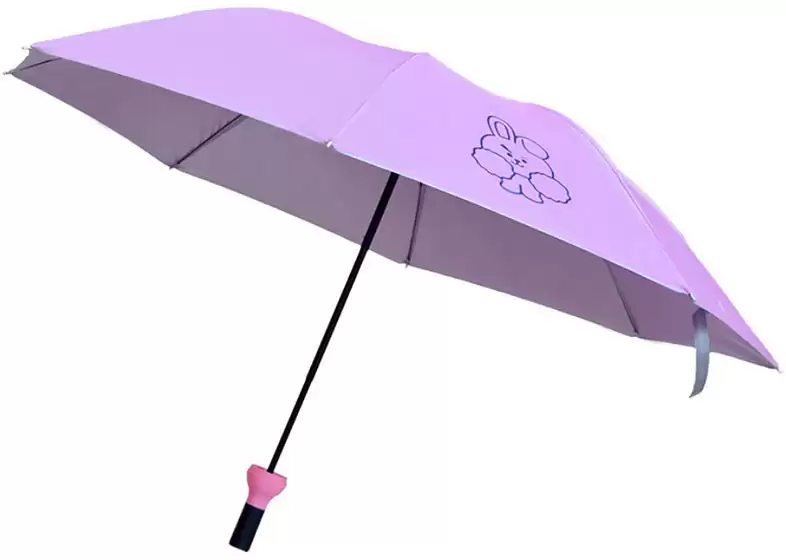 ���� BTS COOKY