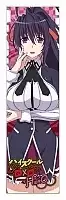    High School DxD Hero Himejima Akeno