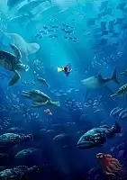 ������ �������� � ������� ���� � �������� �������