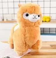   Alpaca Vicugna Pacos 
