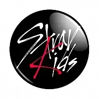  Stray Kids Logo
