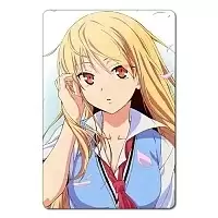    Sakurasou no Pet na Kanojo 350263