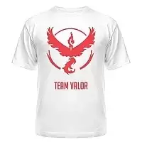 �������� Pokemon Go - Team Valor