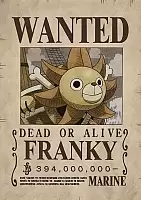   One Piece - Franky Wanted Poster
