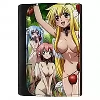   Sora no Otoshimono 331646