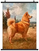 ������� �������� ������� ���� / ������