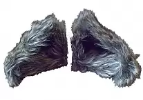       ( )