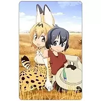    - - Serval  Kaban