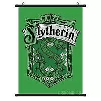   Harry Potter Slytherin