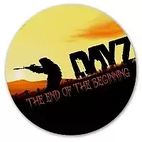     DayZ The End of the beginning