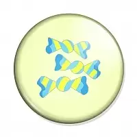  My Little Pony - Bon Bon Logo