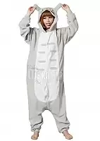   / Kigurumi Totoro